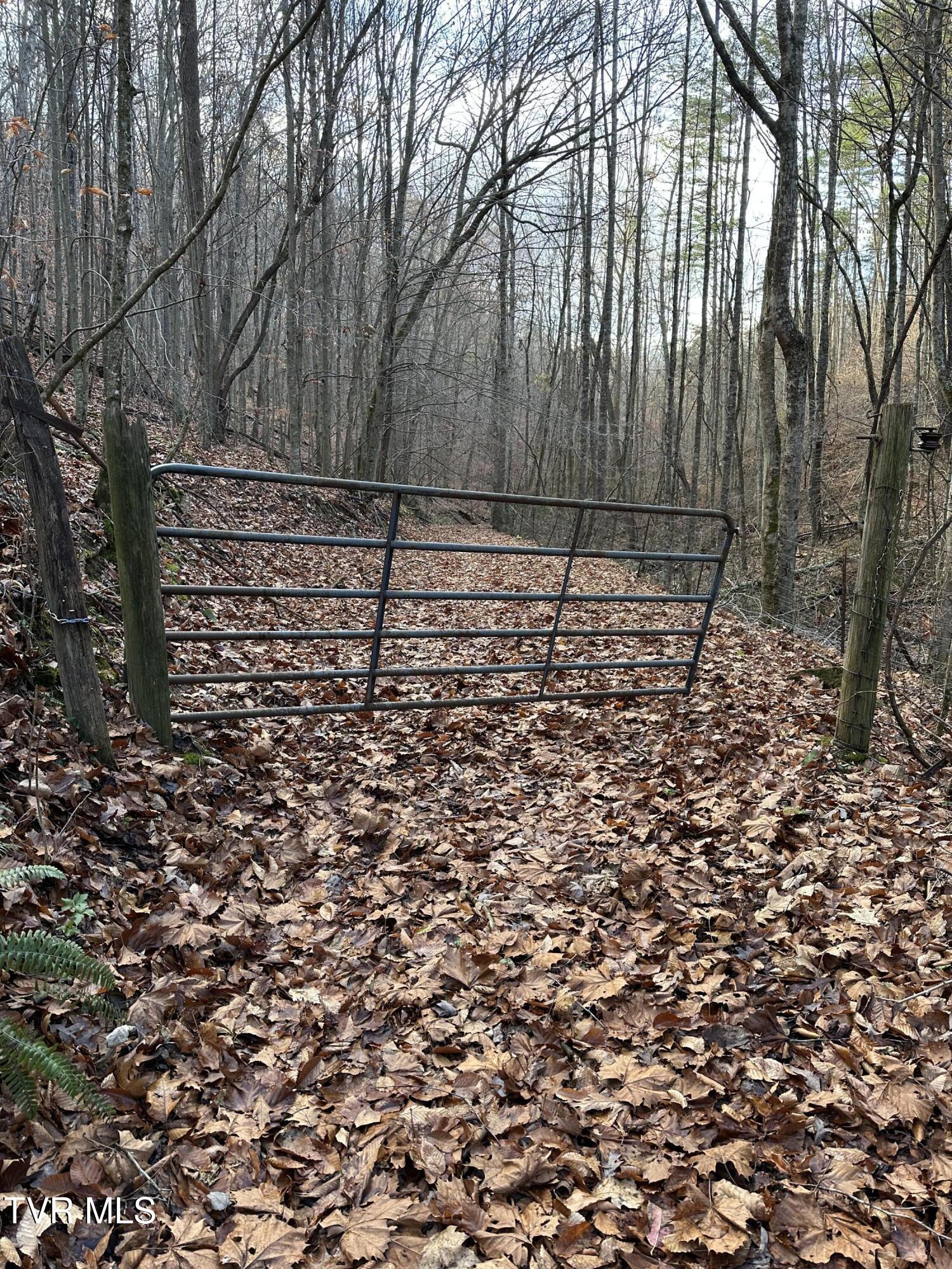 Corn Ridge Lane, Nickelsville, Virginia image 1
