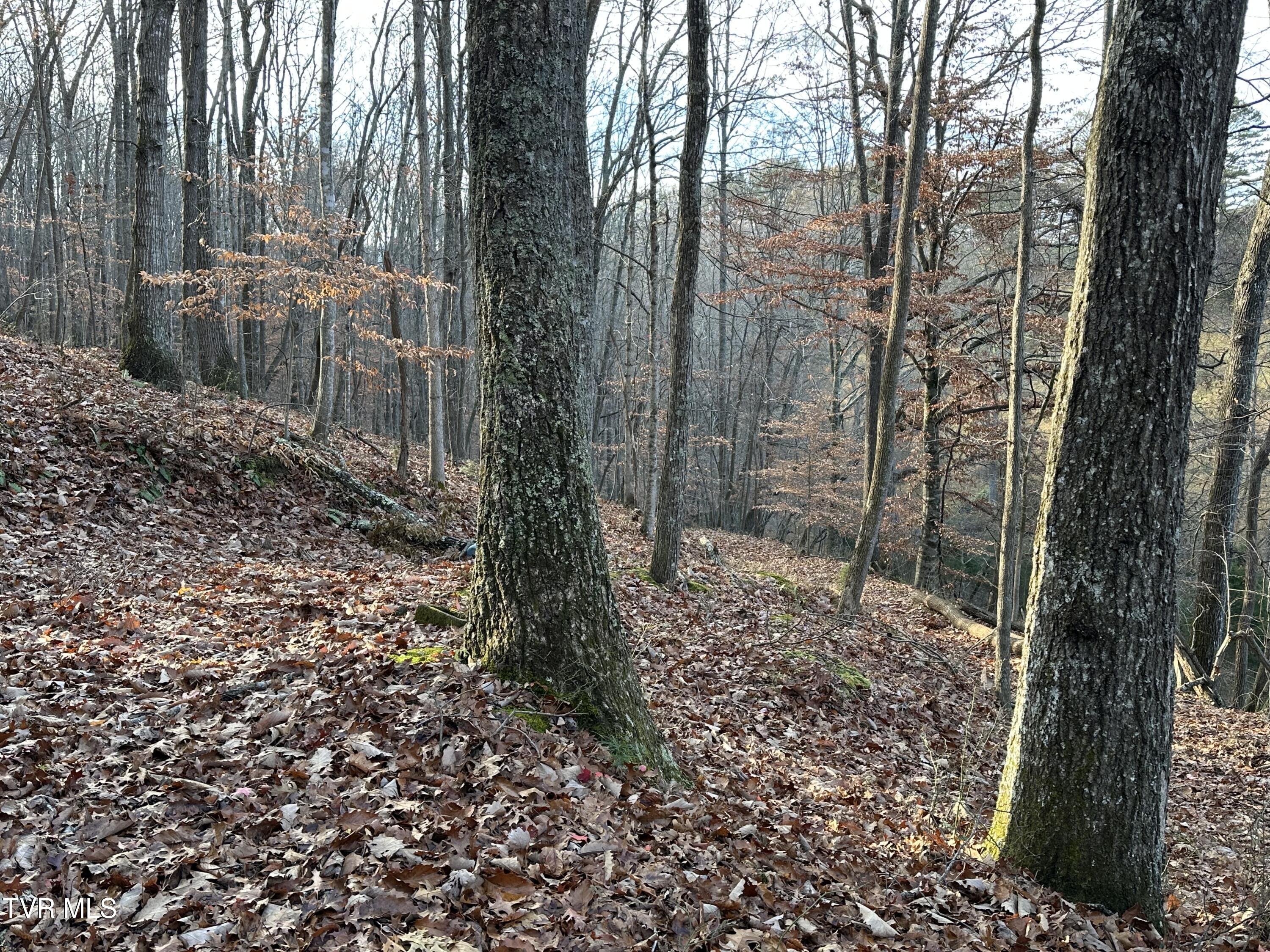 Corn Ridge Lane, Nickelsville, Virginia image 11