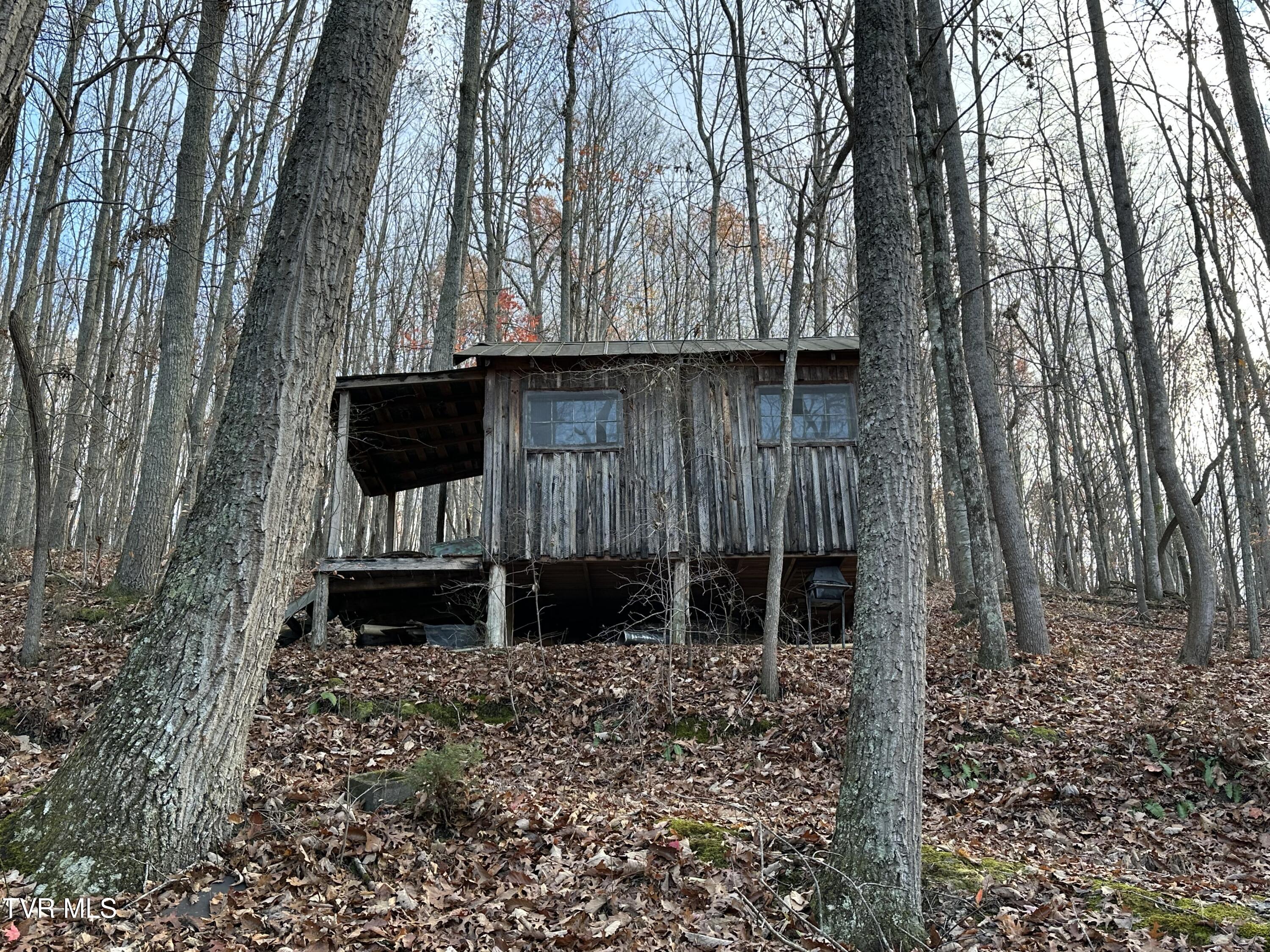 Corn Ridge Lane, Nickelsville, Virginia image 10