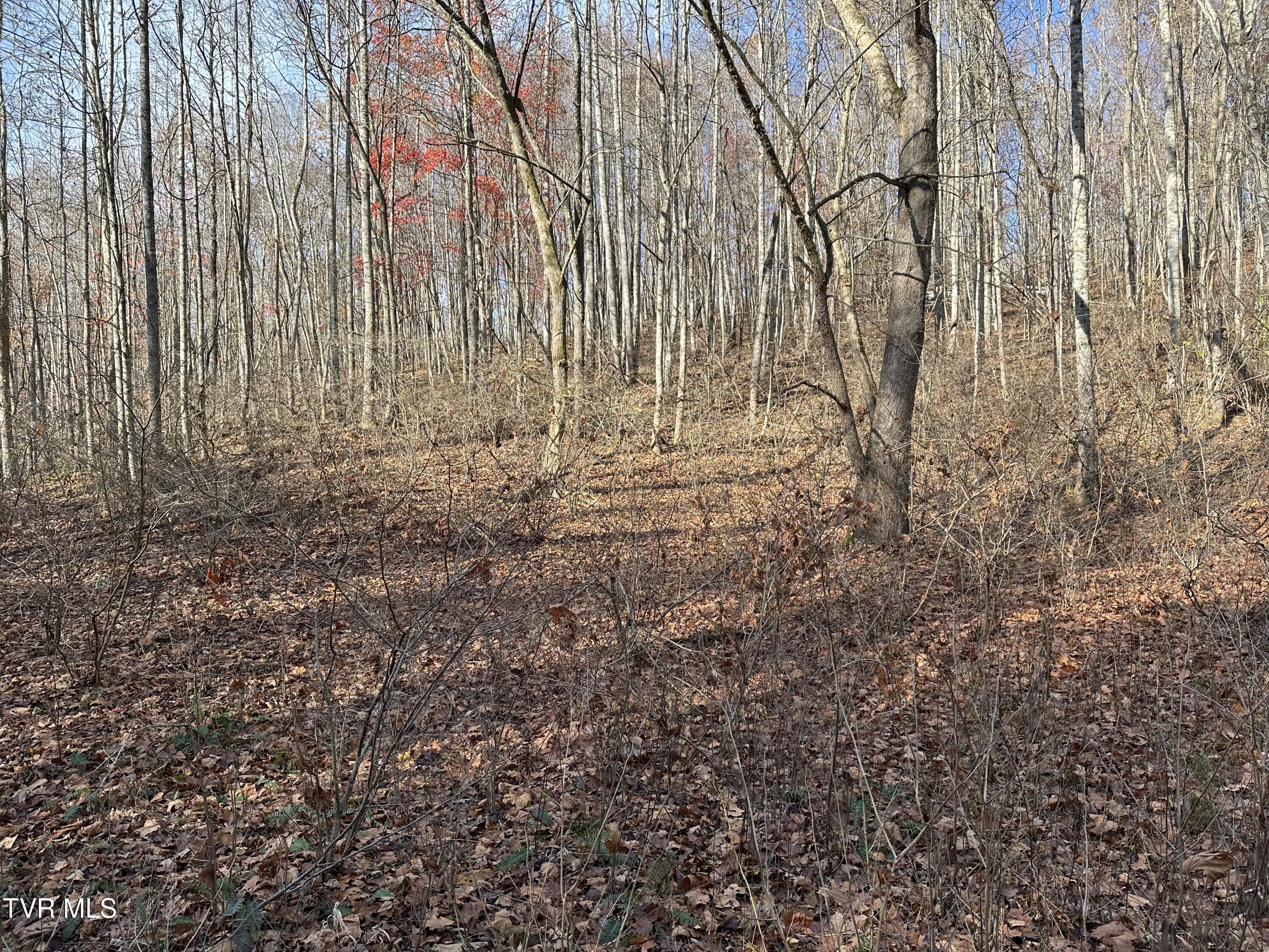 Corn Ridge Lane, Nickelsville, Virginia image 49