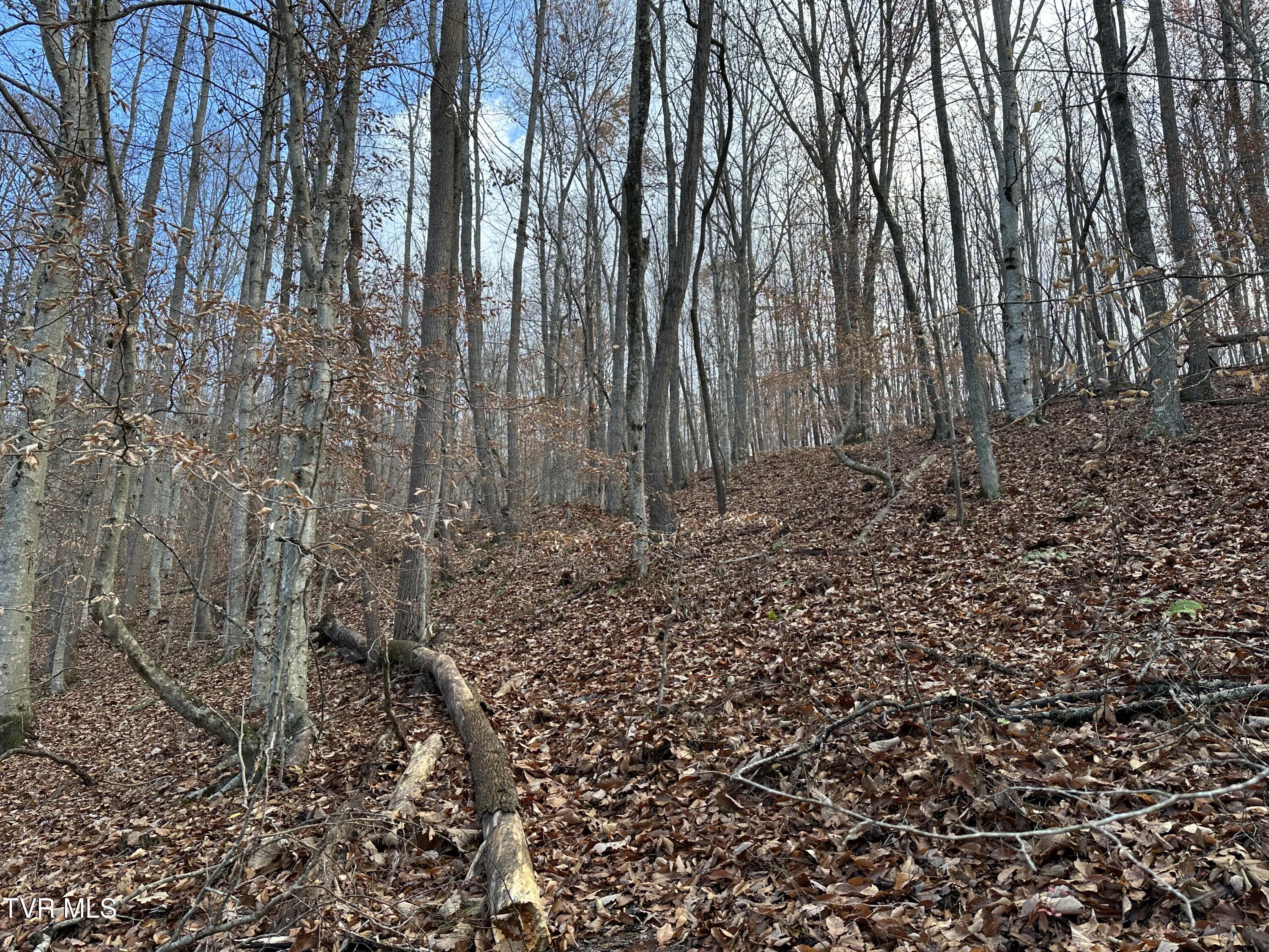 Corn Ridge Lane, Nickelsville, Virginia image 6