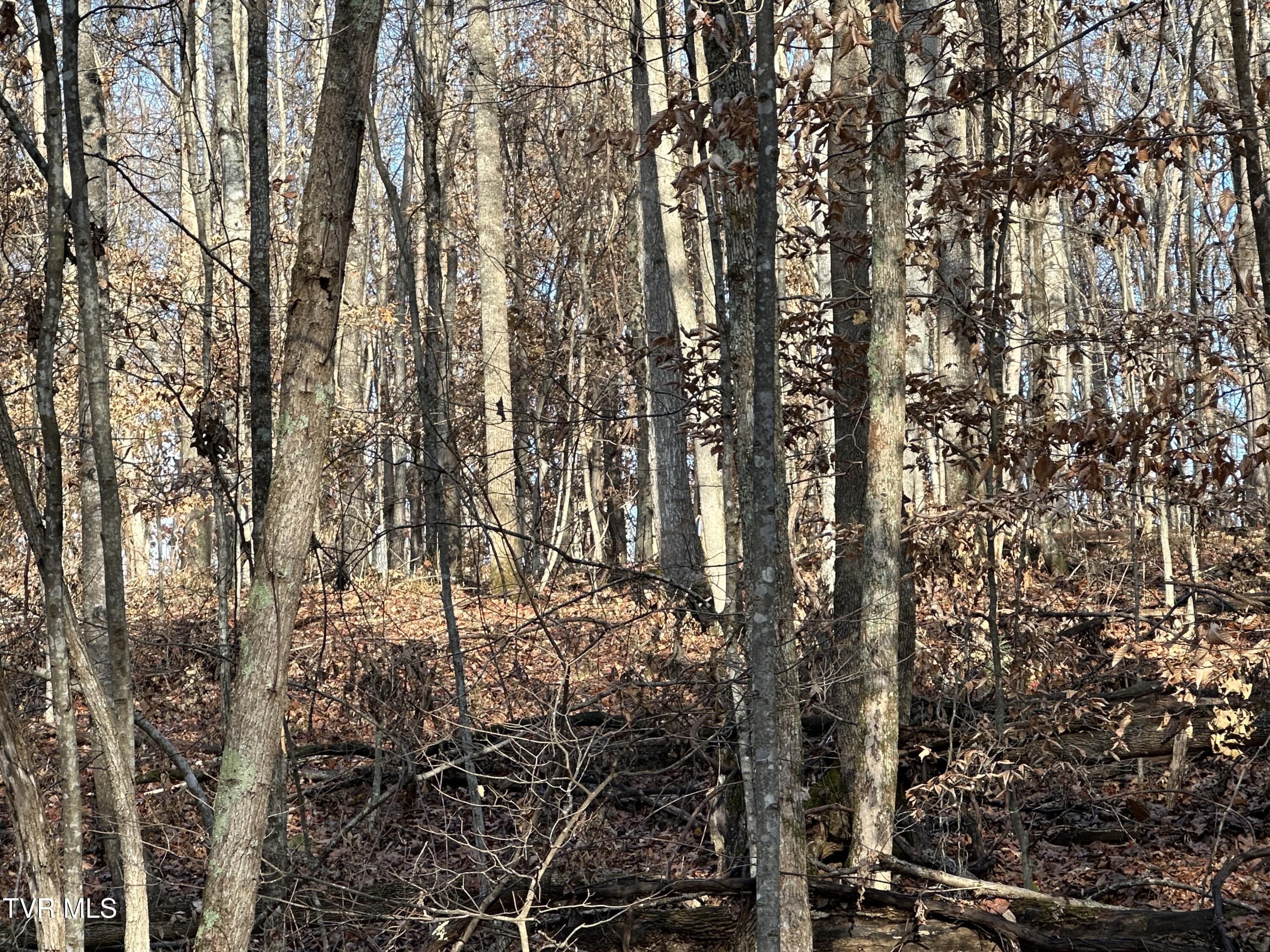 Corn Ridge Lane, Nickelsville, Virginia image 32