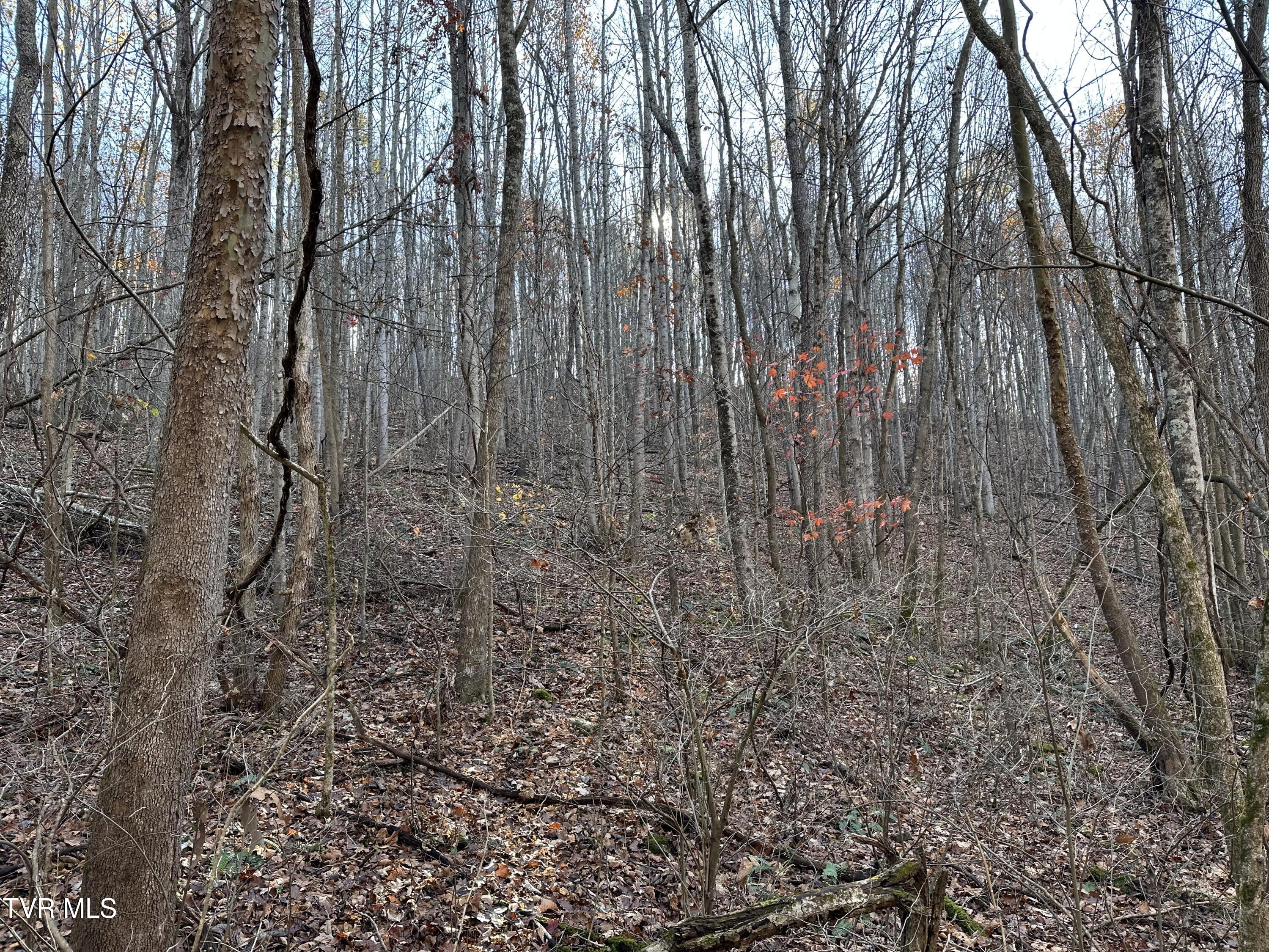 Corn Ridge Lane, Nickelsville, Virginia image 50