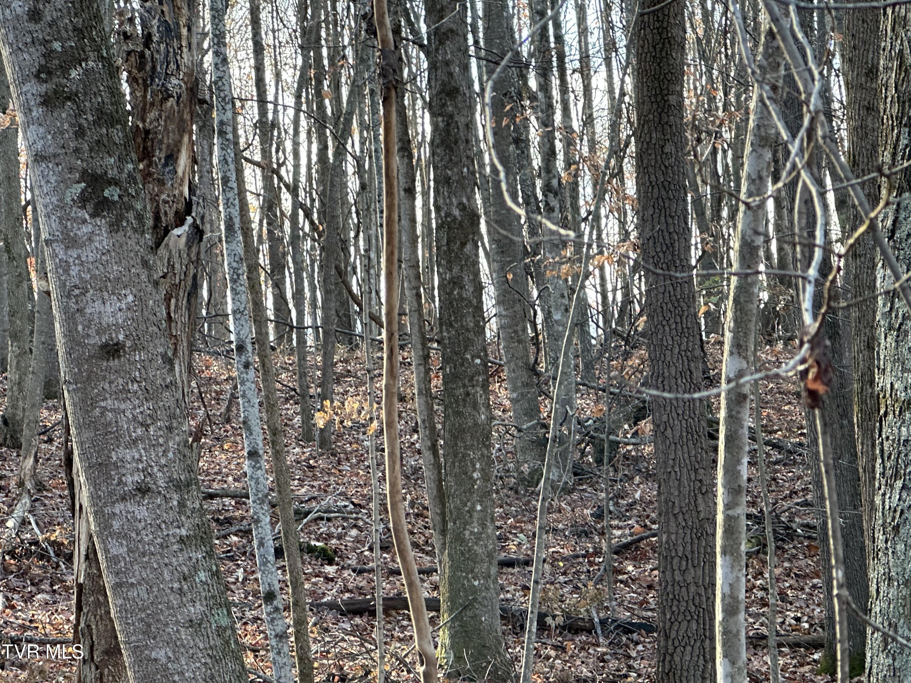 Corn Ridge Lane, Nickelsville, Virginia image 27