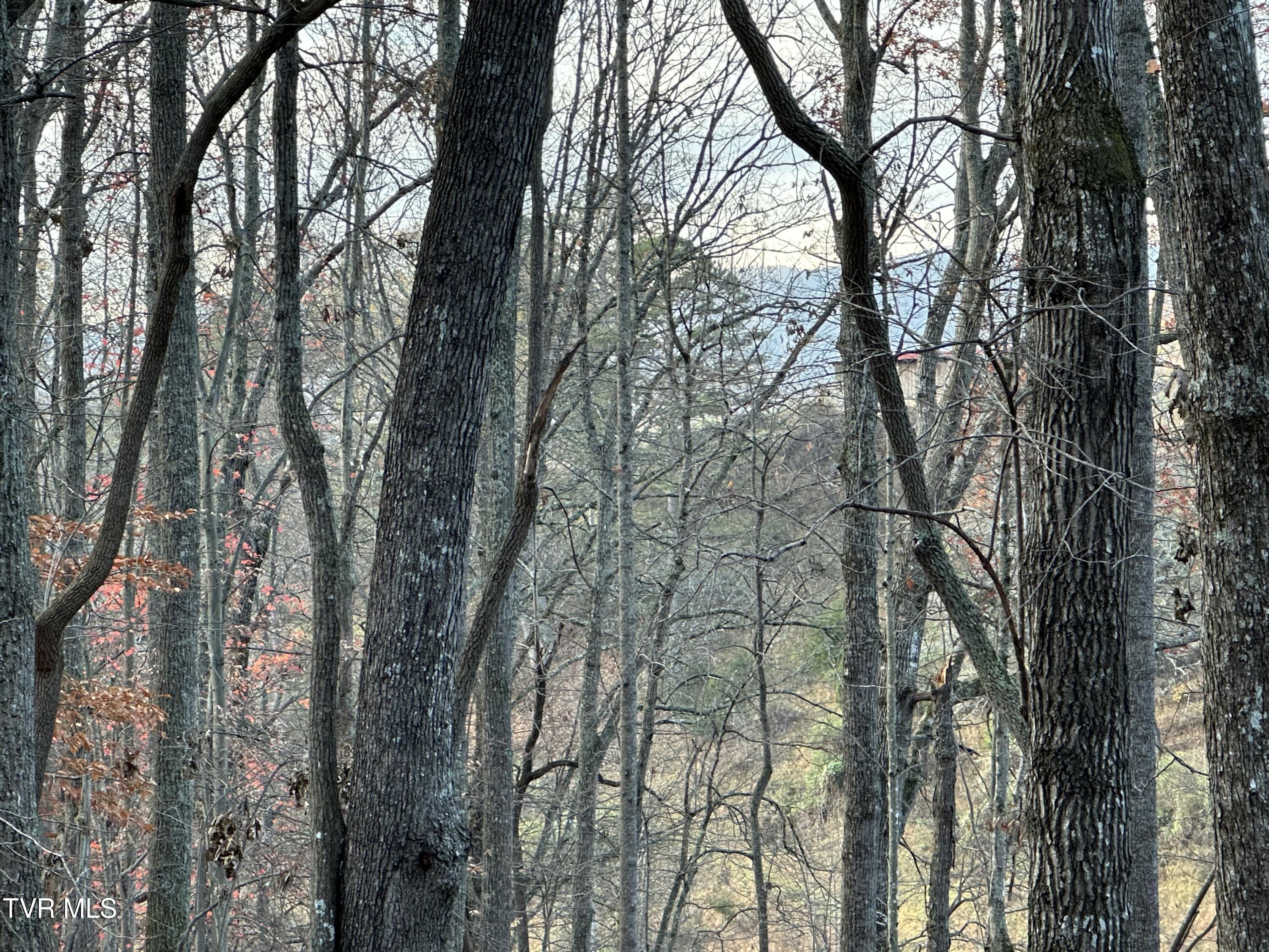 Corn Ridge Lane, Nickelsville, Virginia image 18