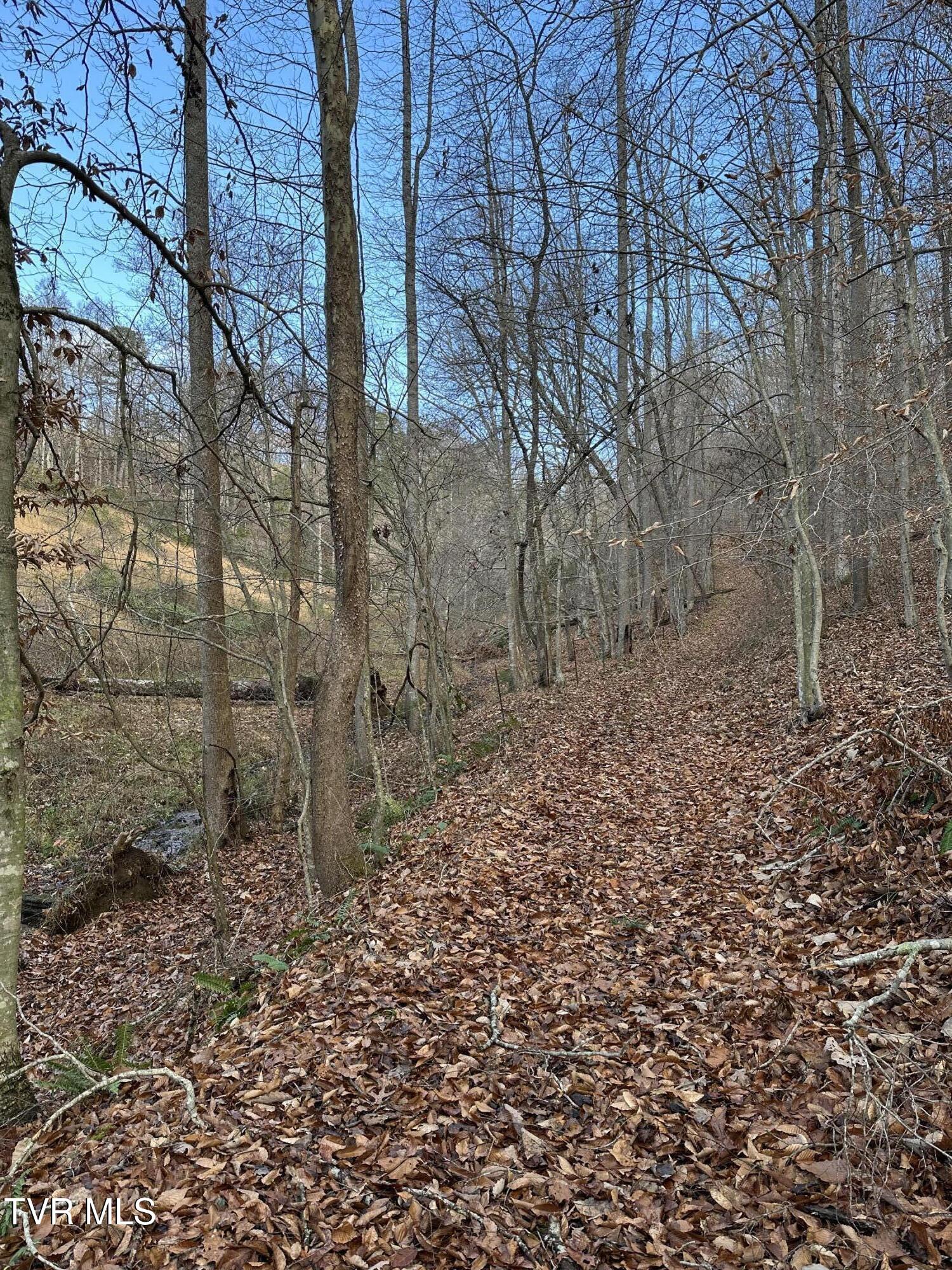 Corn Ridge Lane, Nickelsville, Virginia image 5