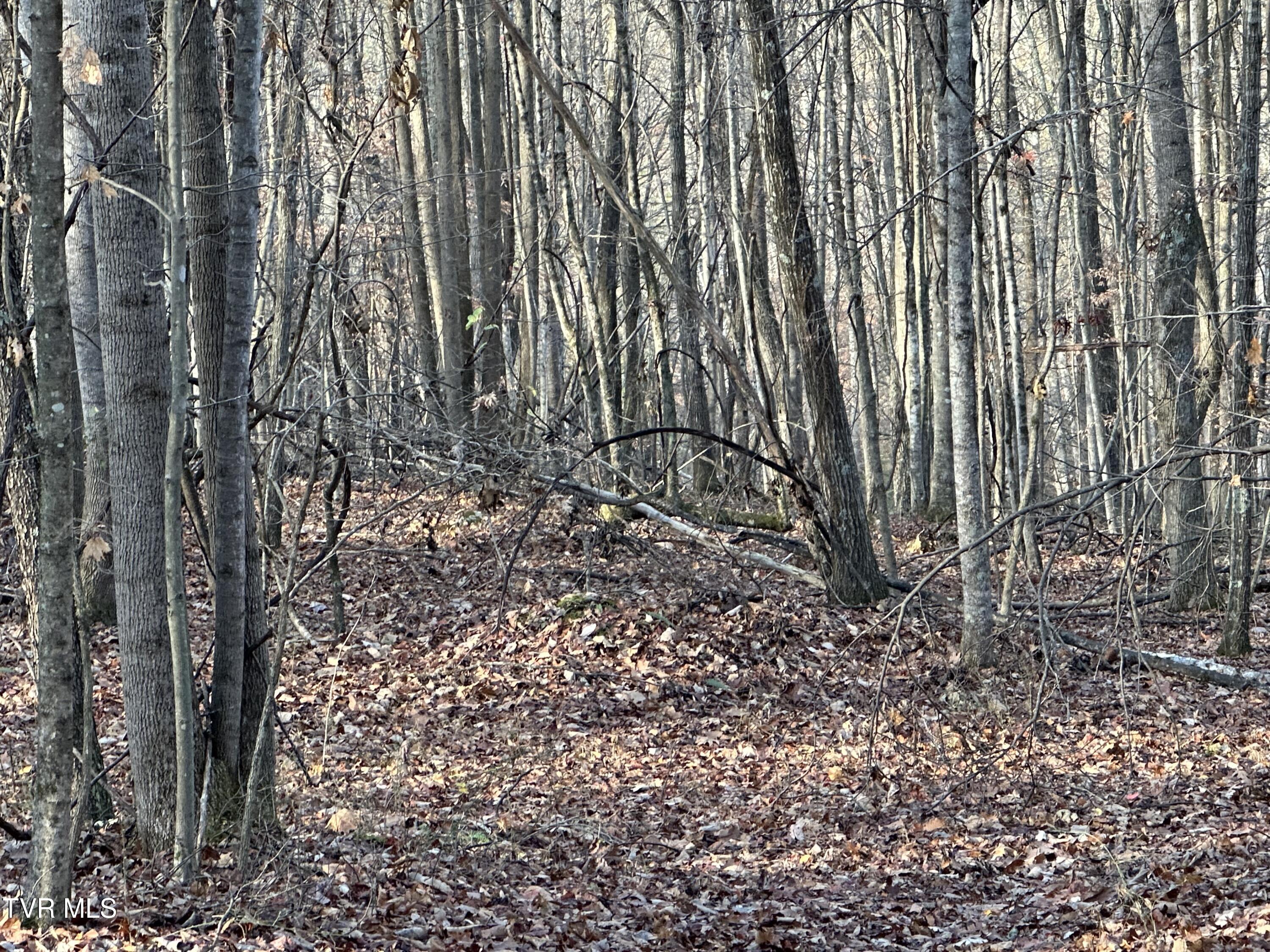 Corn Ridge Lane, Nickelsville, Virginia image 28
