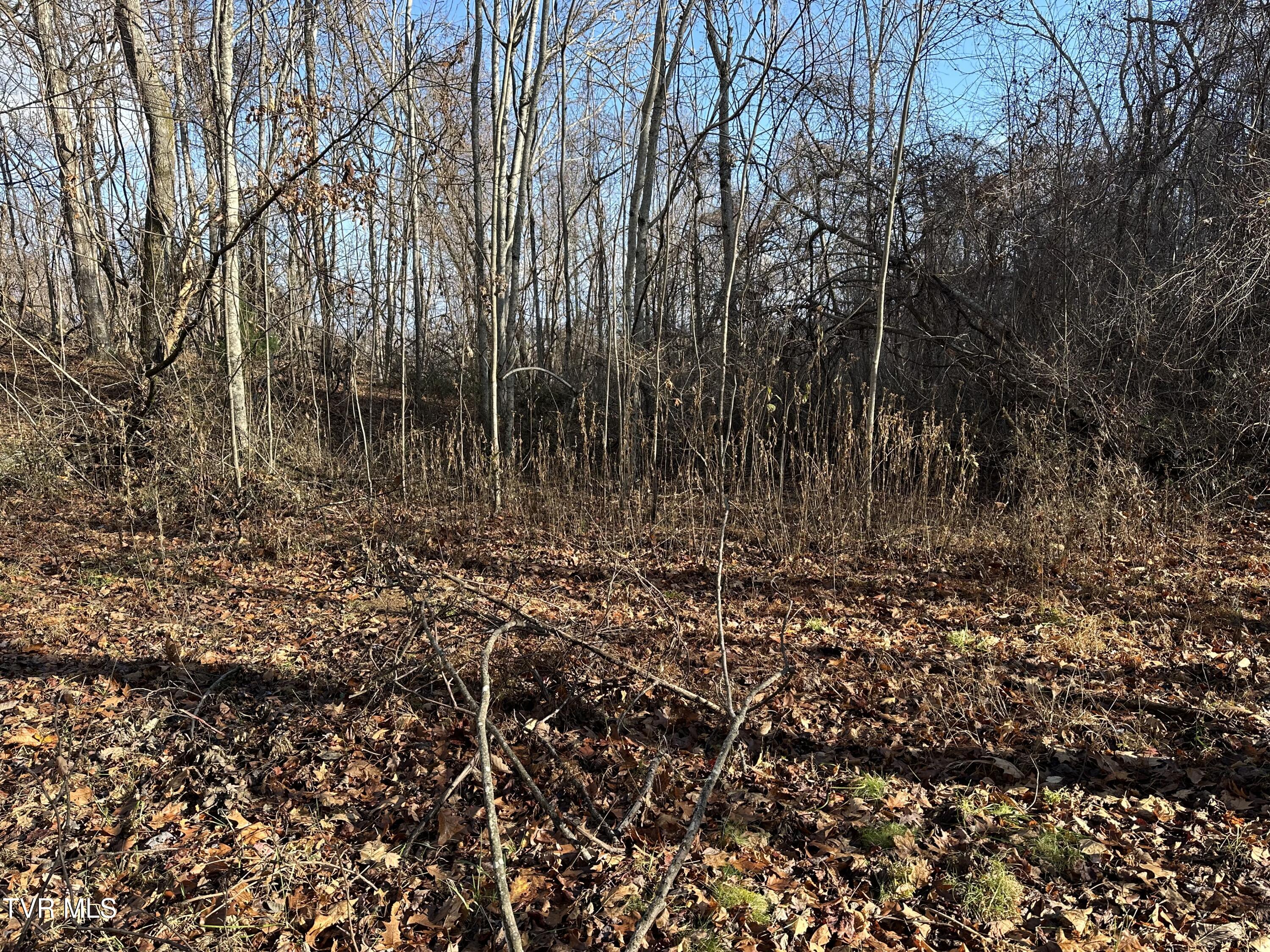 Corn Ridge Lane, Nickelsville, Virginia image 41
