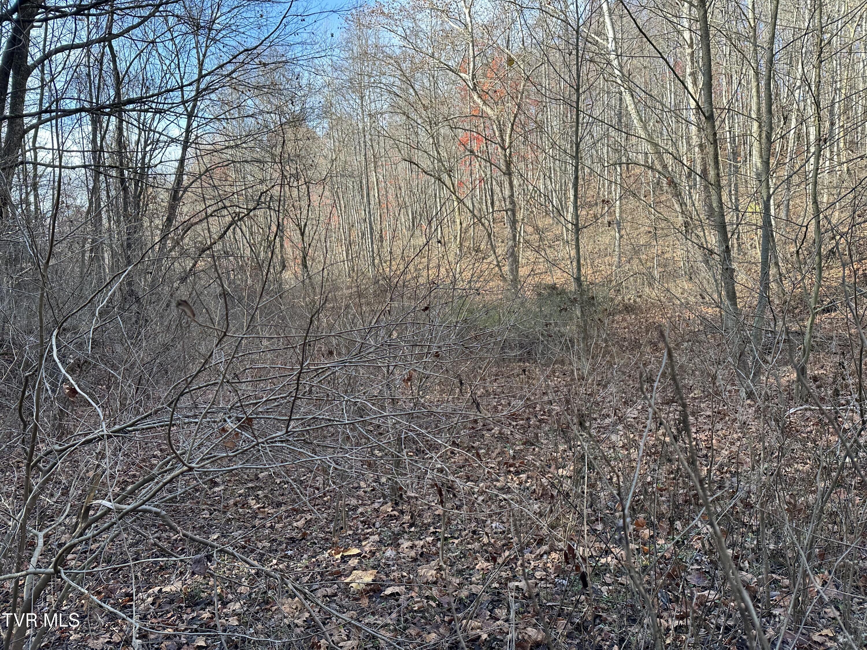 Corn Ridge Lane, Nickelsville, Virginia image 47