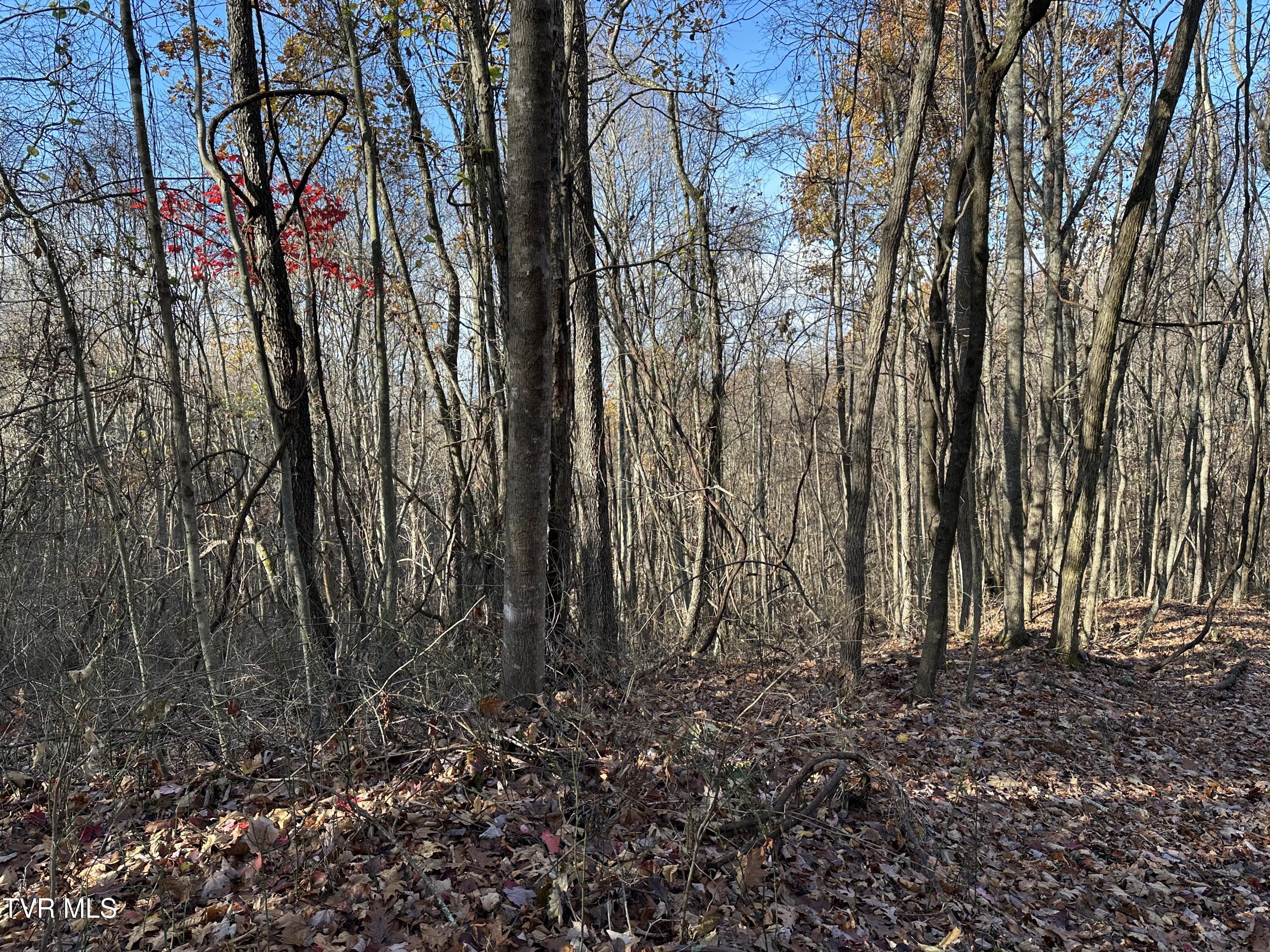 Corn Ridge Lane, Nickelsville, Virginia image 44