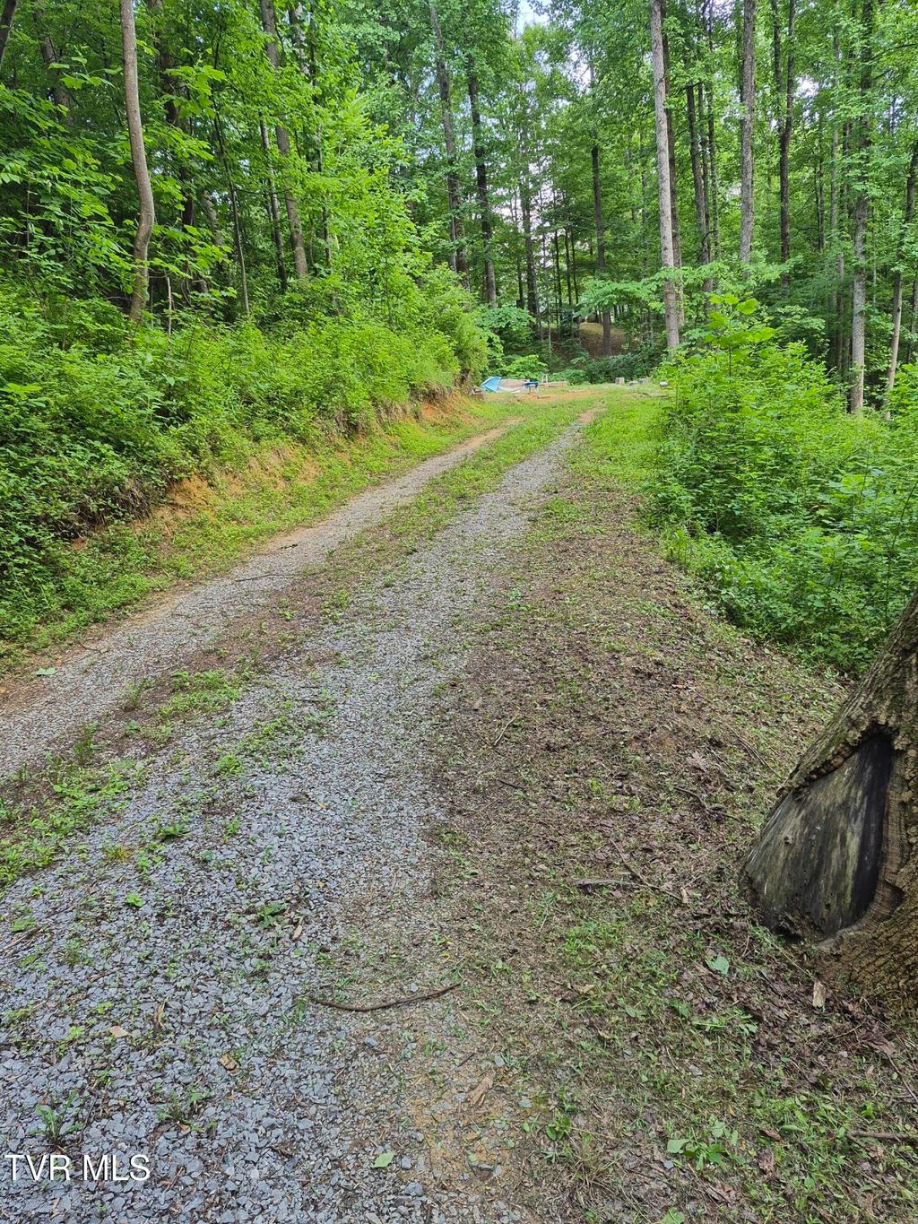 Photo of 134 Thomas And Webb Road, Johnson City, TN 37604 (MLS # 9996123)
