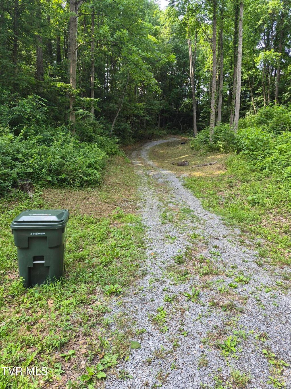 Photo of 134 Thomas And Webb Road, Johnson City, TN 37604 (MLS # 9996123)