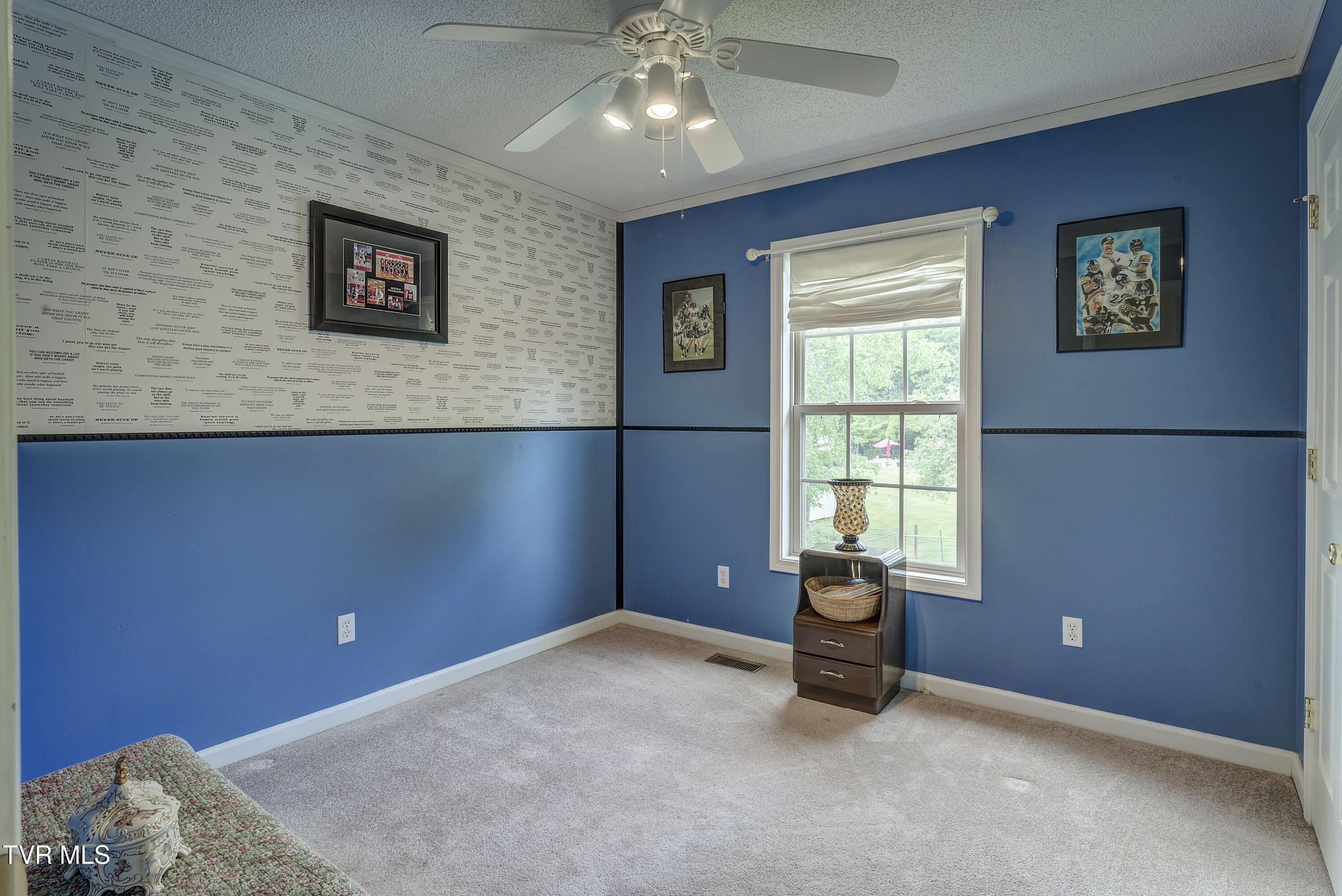115 Maple Ridge Drive, Jonesborough, Tennessee image 33