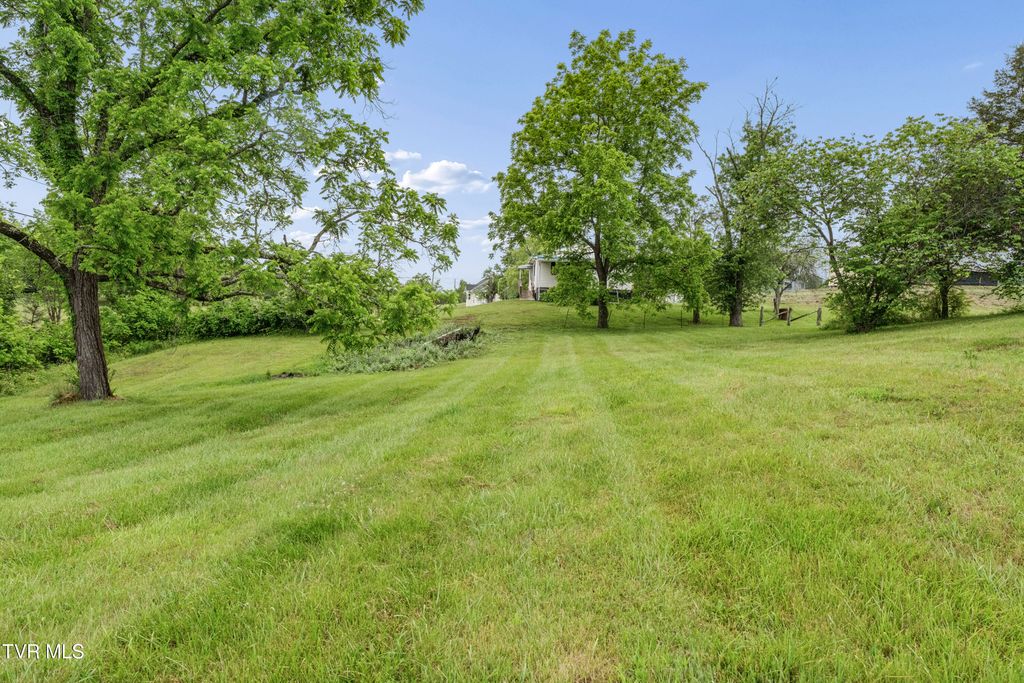 Photo of 1313 Oasis Road, Bulls Gap, TN 37711 (MLS # 9995502)