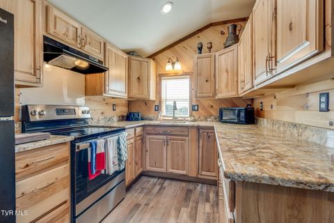 Tiny photo for 13530 Horton Highway, Greeneville, TN 37745 (MLS # 9986026)