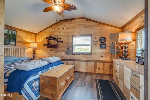 Tiny photo for 13530 Horton Highway, Greeneville, TN 37745 (MLS # 9986026)