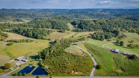 Tiny photo for 13530 Horton Highway, Greeneville, TN 37745 (MLS # 9986026)