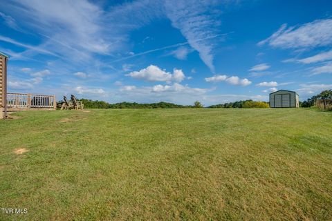 Tiny photo for 13530 Horton Highway, Greeneville, TN 37745 (MLS # 9986026)