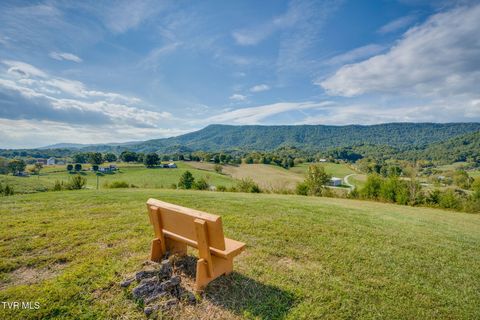 Tiny photo for 13530 Horton Highway, Greeneville, TN 37745 (MLS # 9986026)