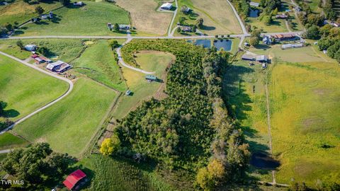 Tiny photo for 13530 Horton Highway, Greeneville, TN 37745 (MLS # 9986026)