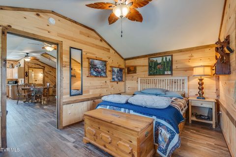 Tiny photo for 13530 Horton Highway, Greeneville, TN 37745 (MLS # 9986026)