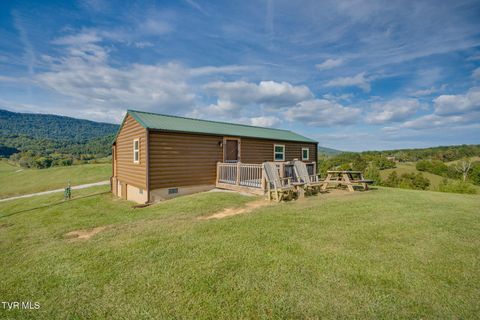 Tiny photo for 13530 Horton Highway, Greeneville, TN 37745 (MLS # 9986026)