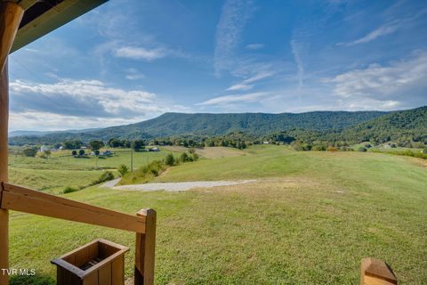 Tiny photo for 13530 Horton Highway, Greeneville, TN 37745 (MLS # 9986026)