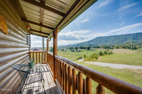 Tiny photo for 13530 Horton Highway, Greeneville, TN 37745 (MLS # 9986026)