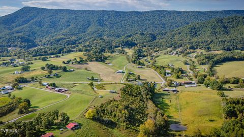 Tiny photo for 13530 Horton Highway, Greeneville, TN 37745 (MLS # 9986026)