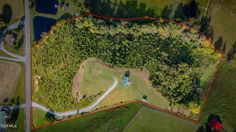 Tiny photo for 13530 Horton Highway, Greeneville, TN 37745 (MLS # 9986026)
