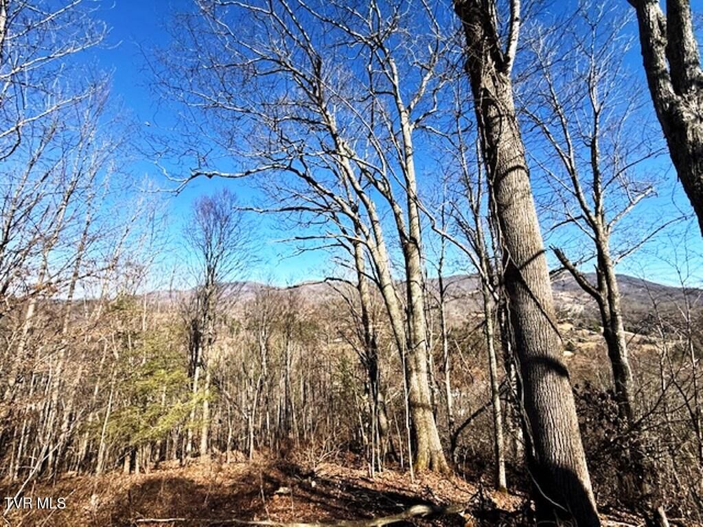 Photo of Tbd Vilas Overlook Drive, Vilas, NC 28692 (MLS # 9991535)