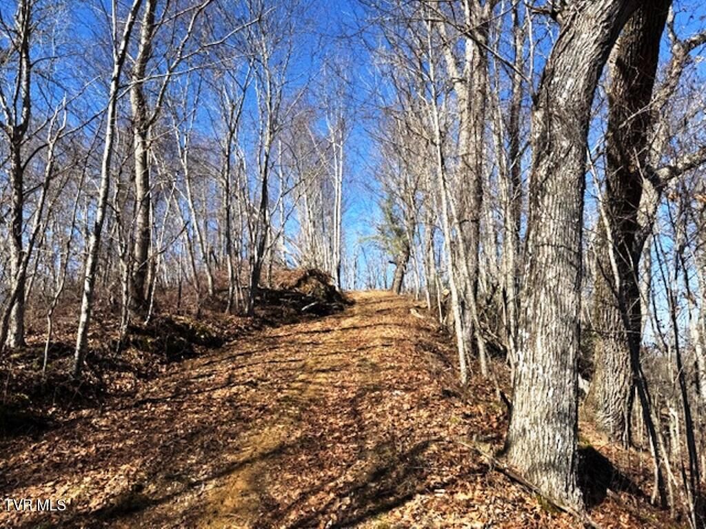 Photo of Tbd Vilas Overlook Drive, Vilas, NC 28692 (MLS # 9991535)