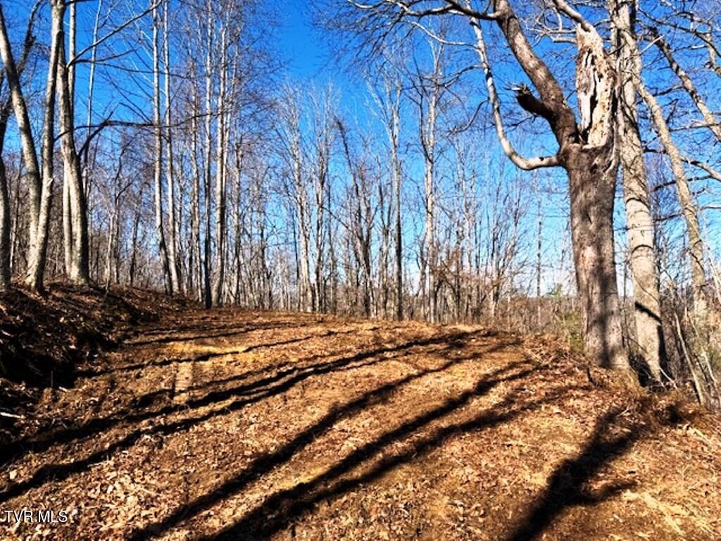 Photo of Tbd Vilas Overlook Drive, Vilas, NC 28692 (MLS # 9991535)