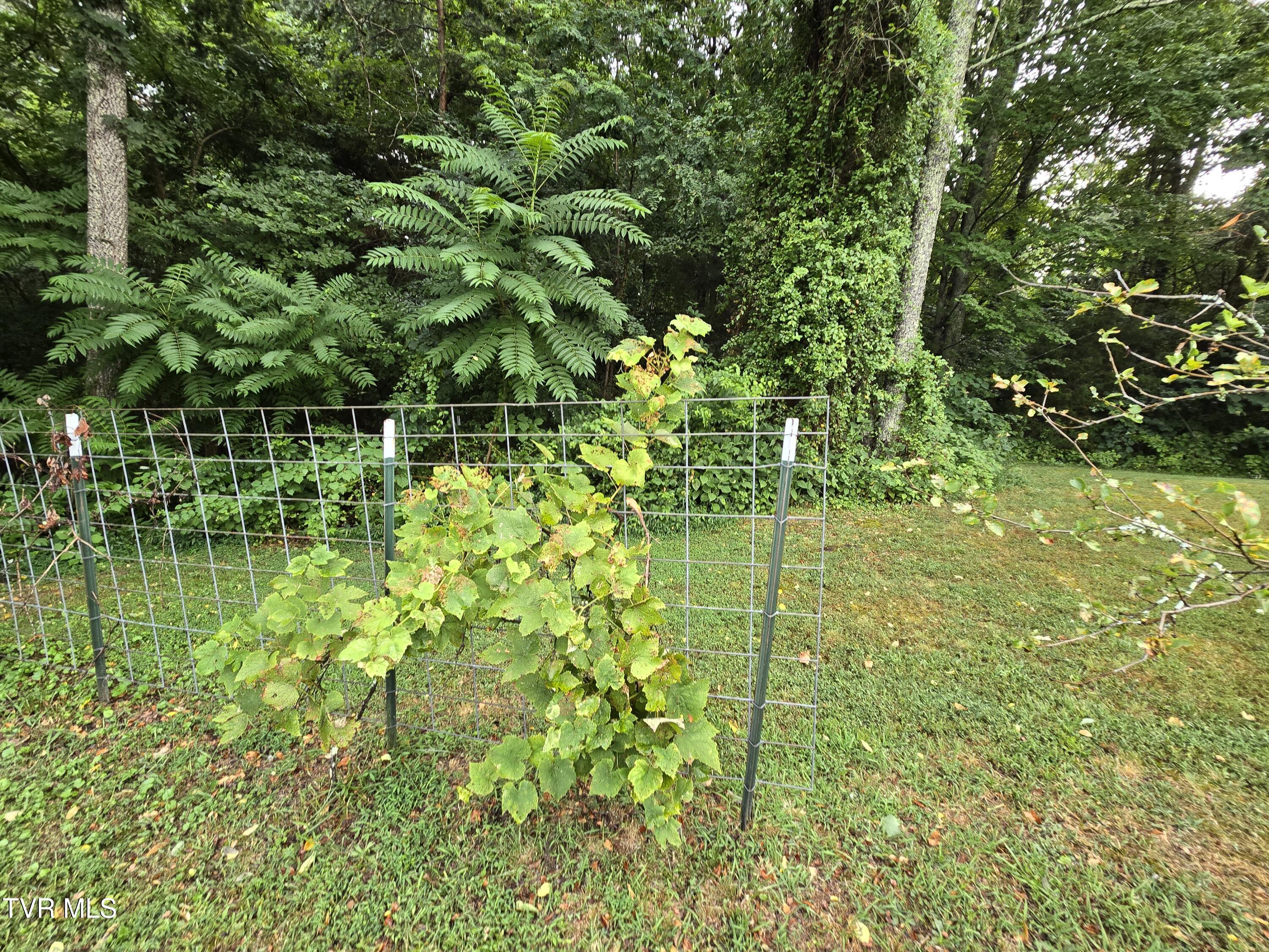 265 Morrisett Chapel Road, Whitesburg, Tennessee image 14