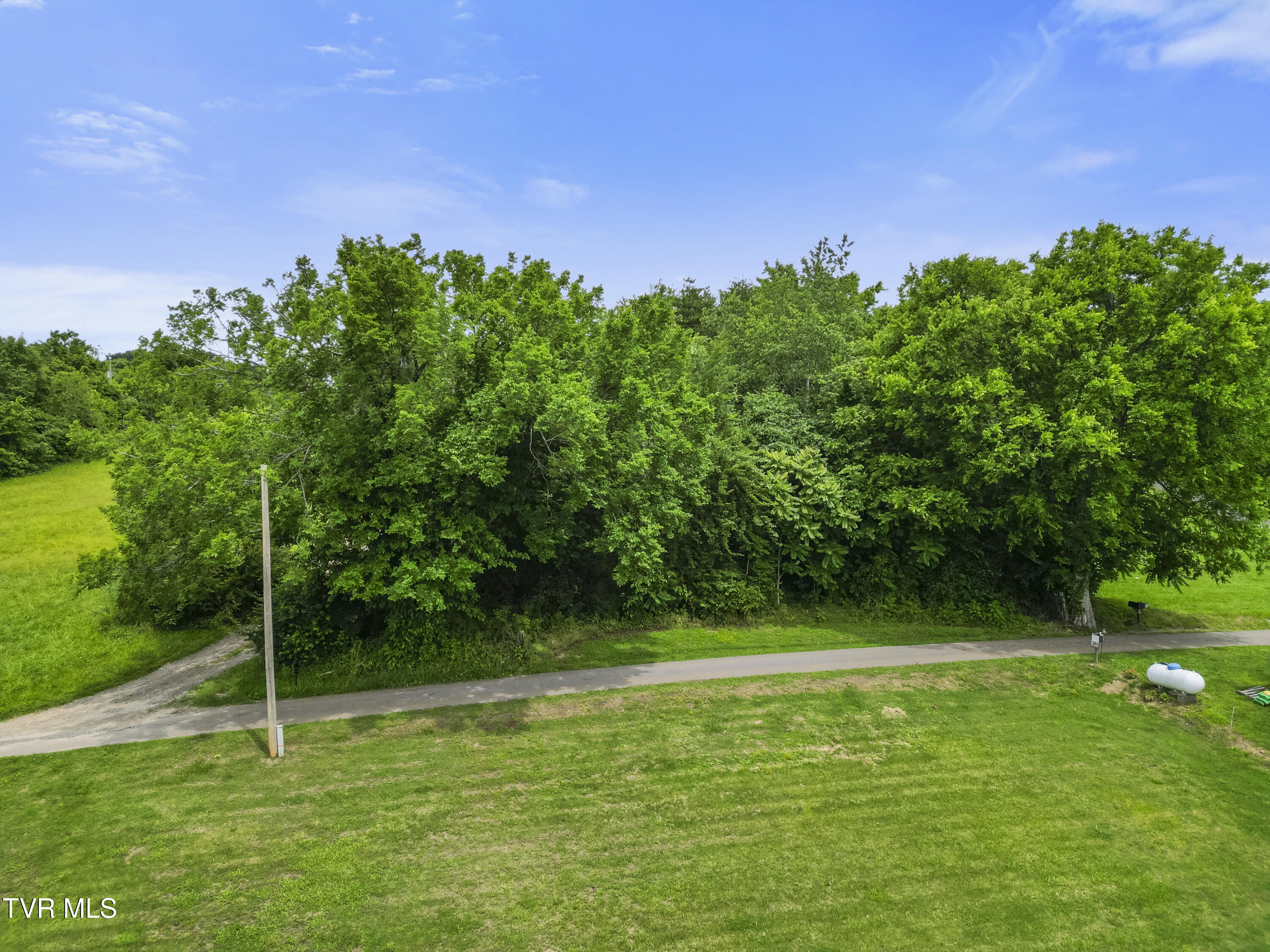 000 Keller Drive, White Pine, Tennessee image 2