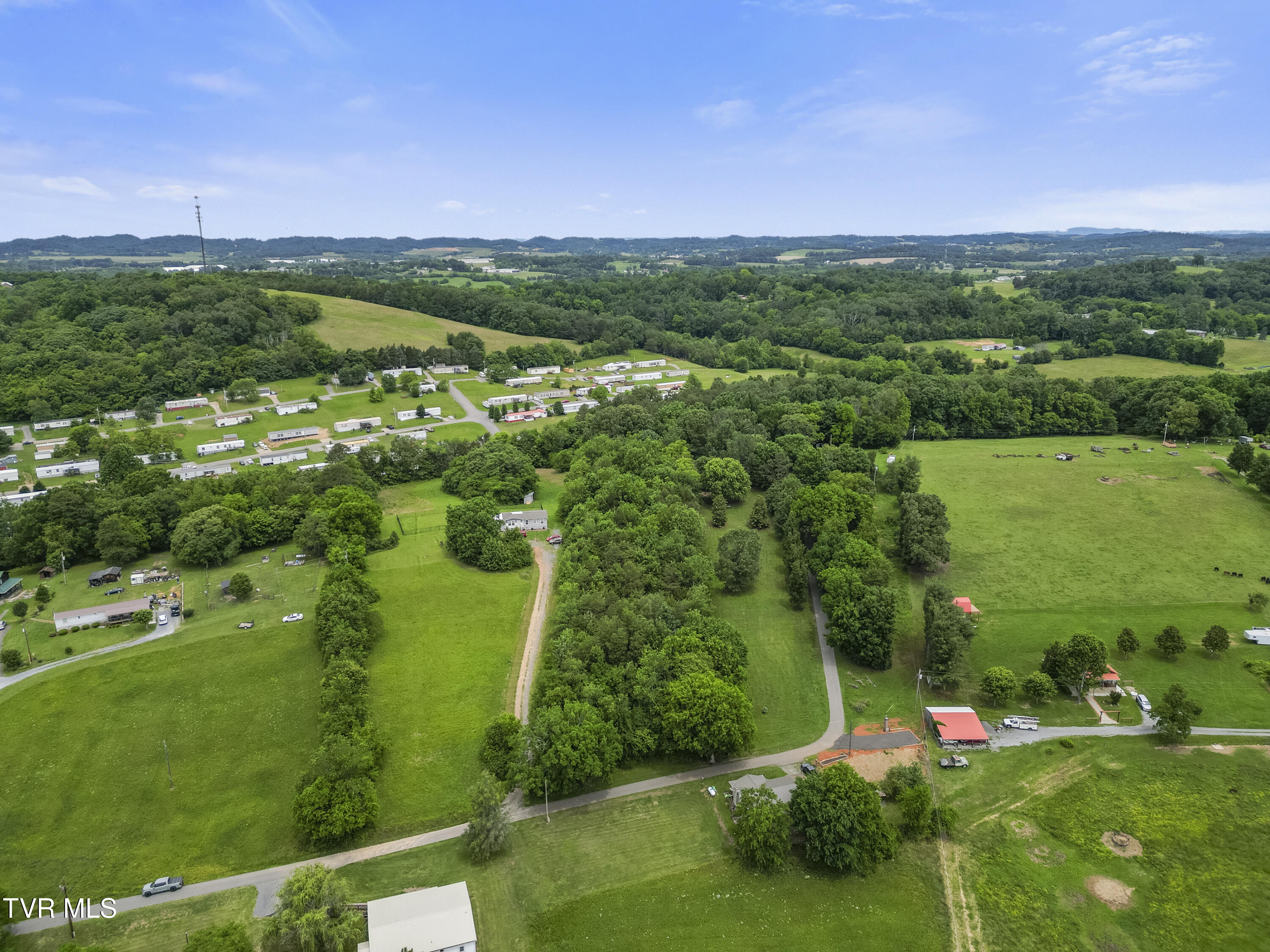 000 Keller Drive, White Pine, Tennessee image 3