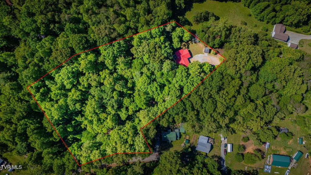 Photo of 1285 Frank Roberts Road, Afton, TN 37616 (MLS # 9995299)
