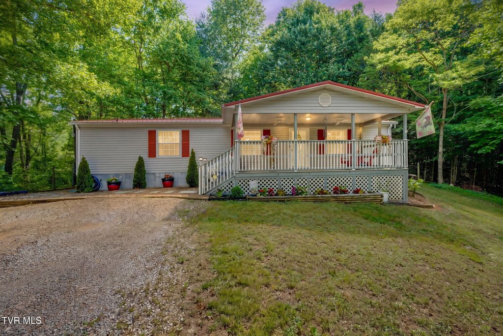 Photo of 1285 Frank Roberts Road, Afton, TN 37616 (MLS # 9995299)