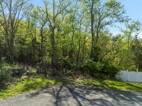 Photo of Tbd Hidden Valley Road, Bristol, TN 37620 (MLS # 9995283)