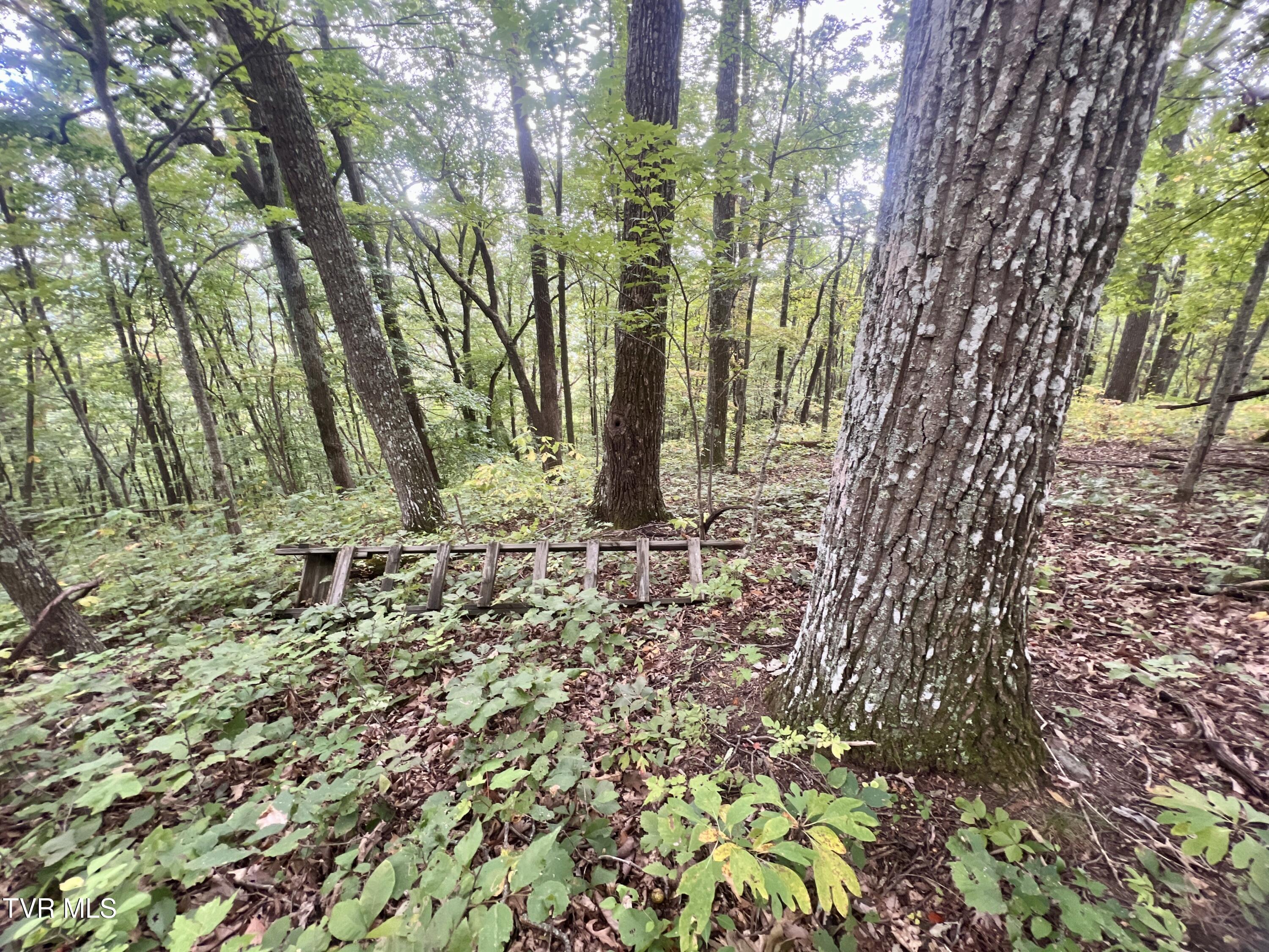 1200 Douglas Drive #1, Sneedville, Tennessee image 37
