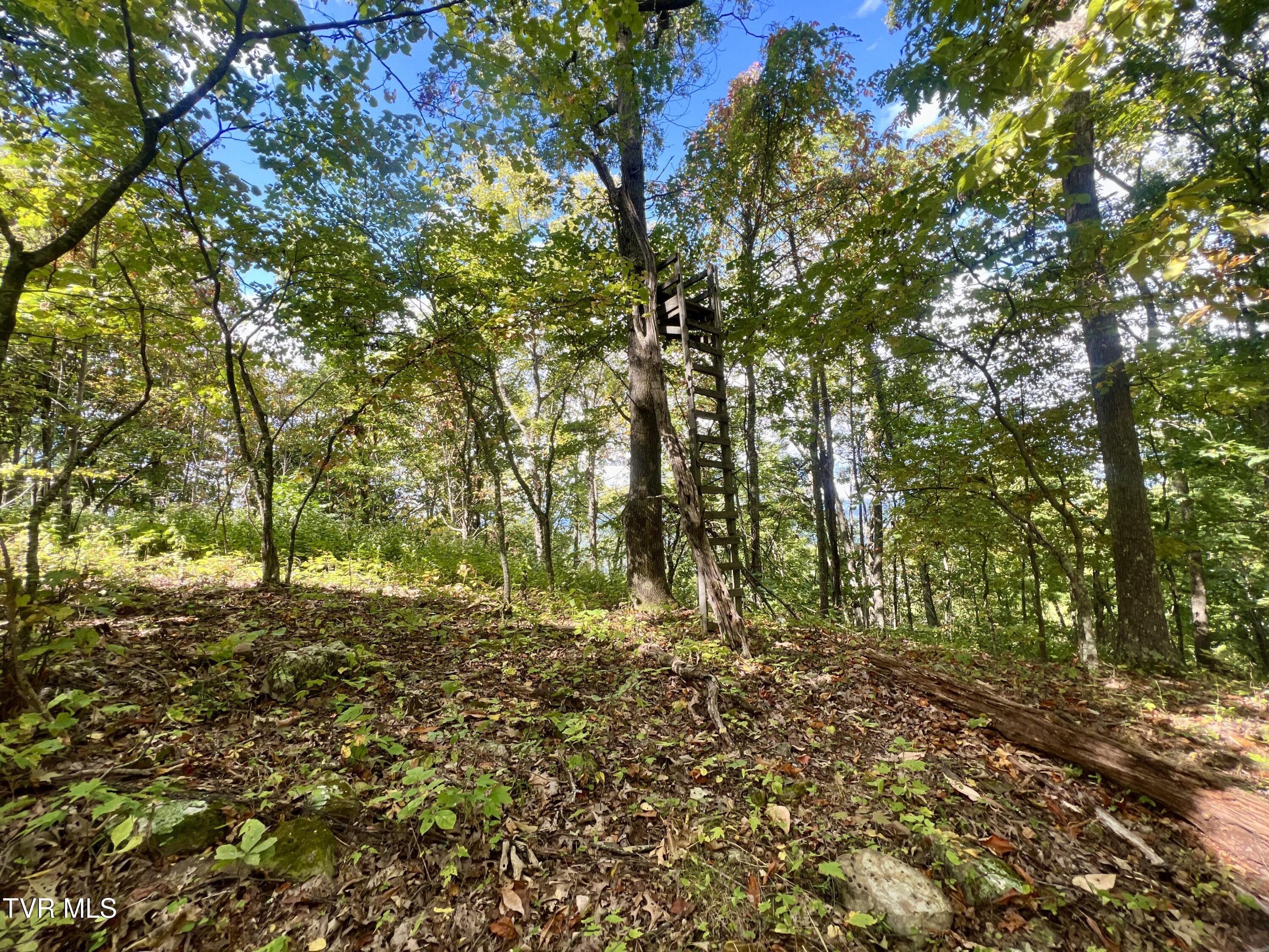 1200 Douglas Drive #1, Sneedville, Tennessee image 30