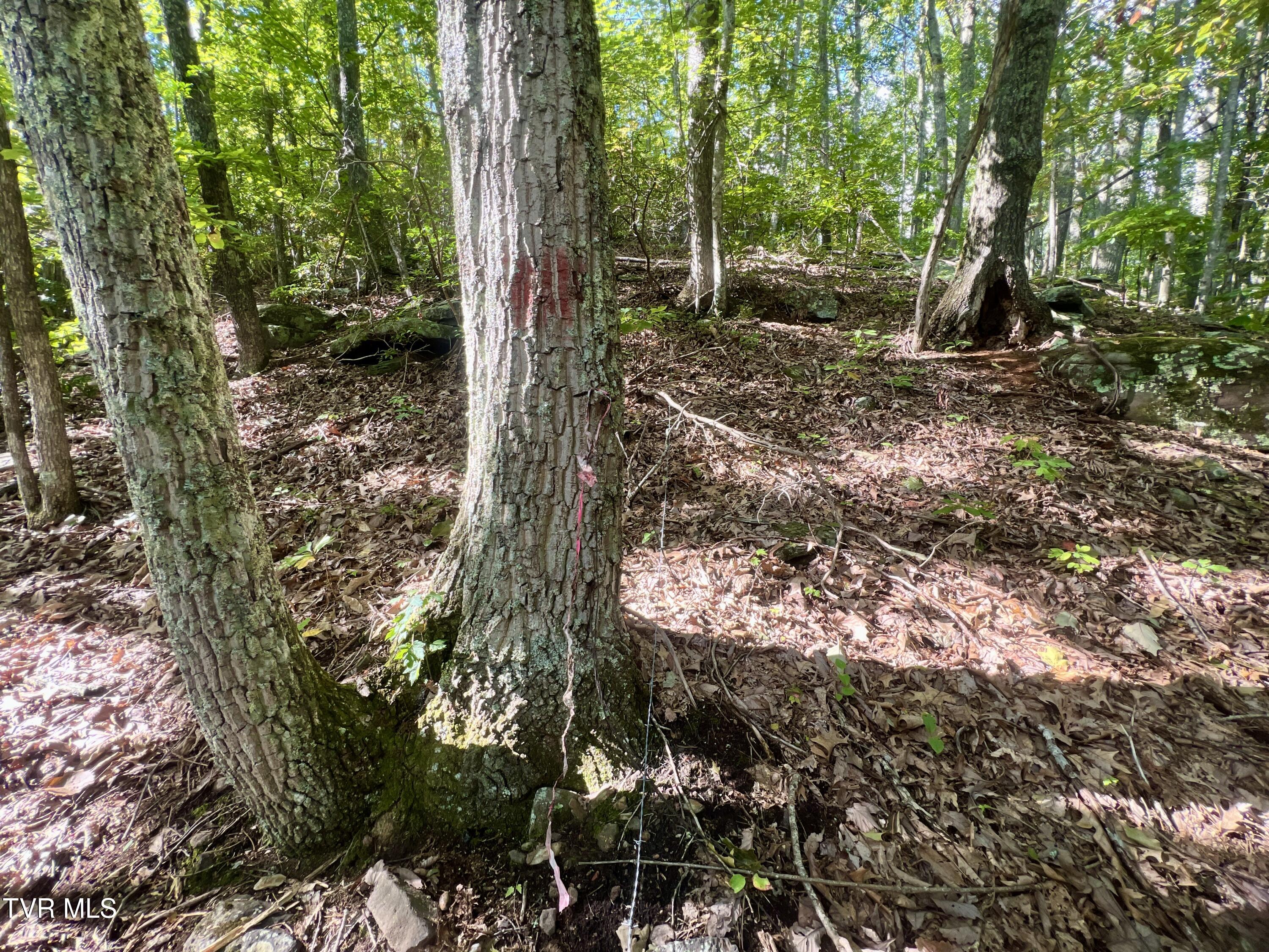 1200 Douglas Drive #1, Sneedville, Tennessee image 40