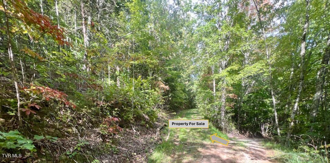 1200 Douglas Drive #1, Sneedville, Tennessee image 5