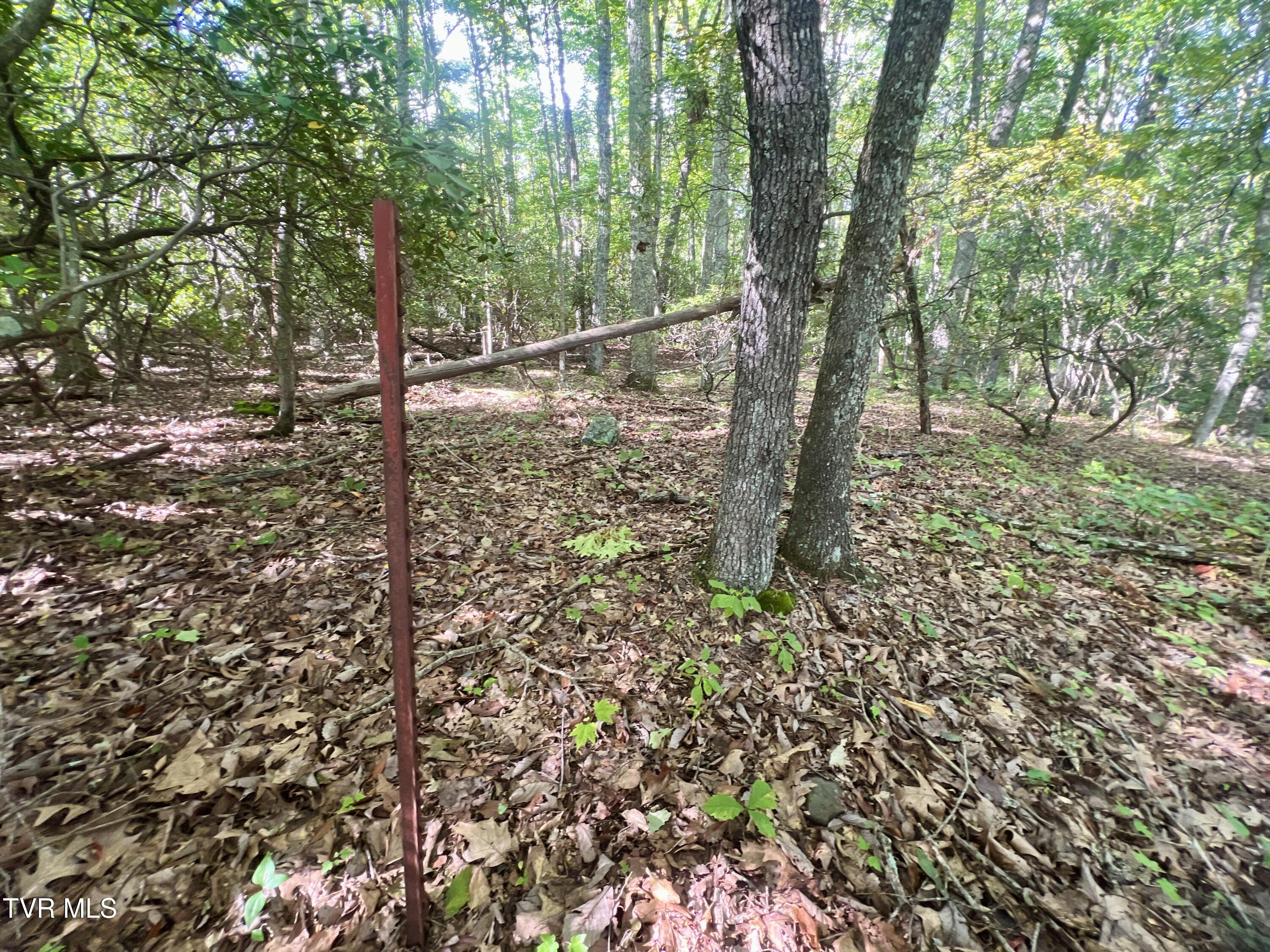 1200 Douglas Drive #1, Sneedville, Tennessee image 45