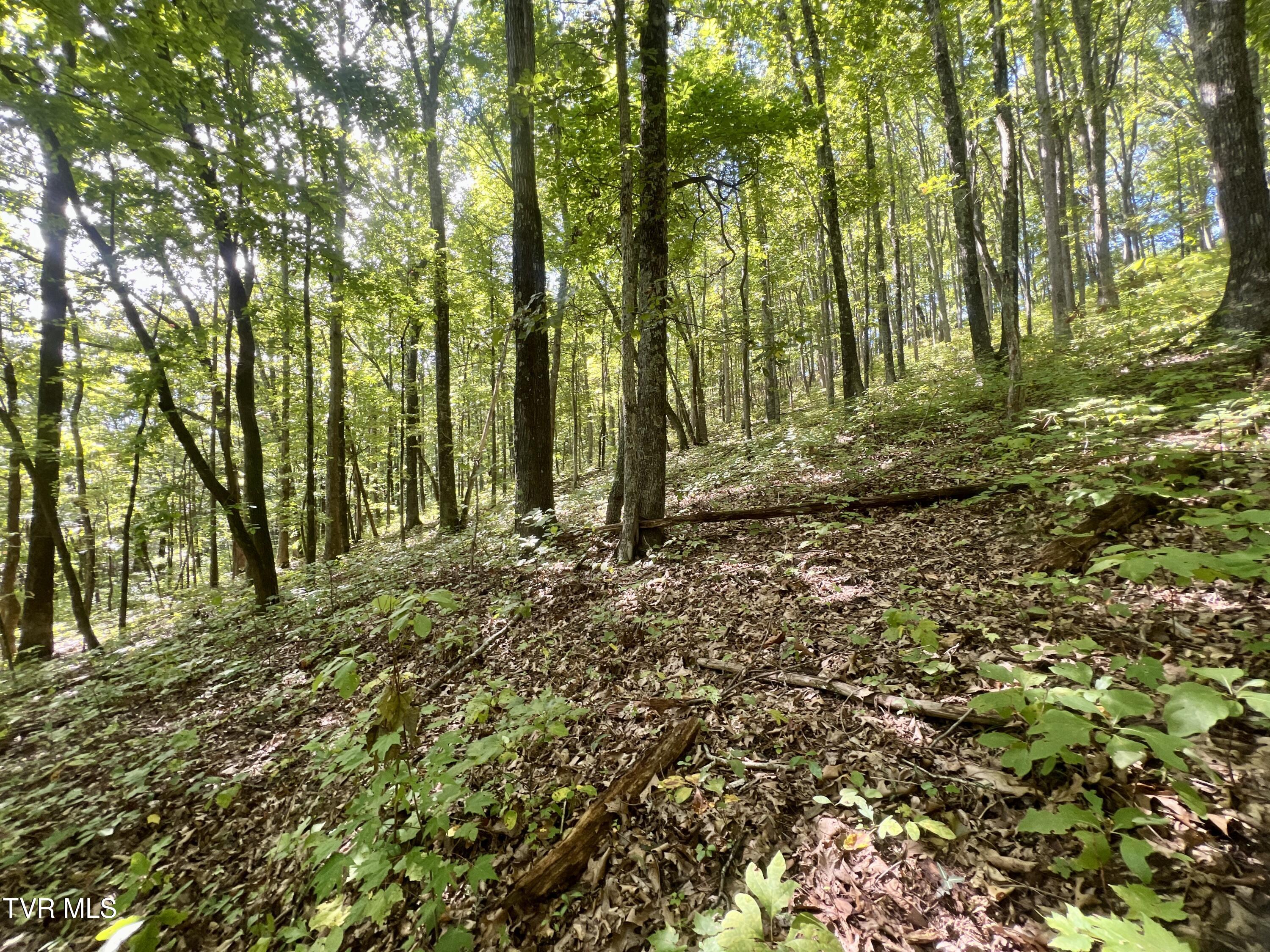 1200 Douglas Drive #1, Sneedville, Tennessee image 33
