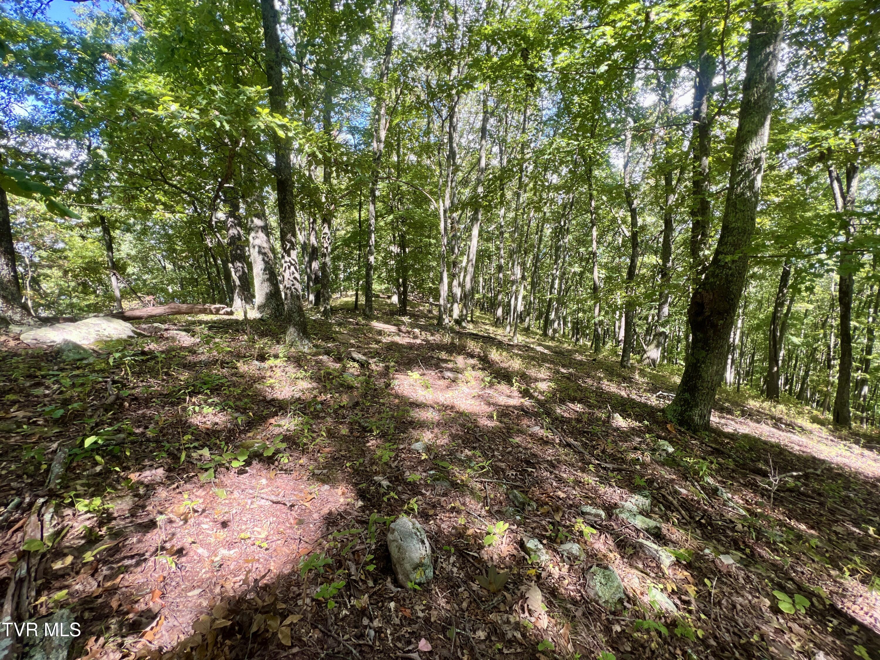 1200 Douglas Drive #1, Sneedville, Tennessee image 31