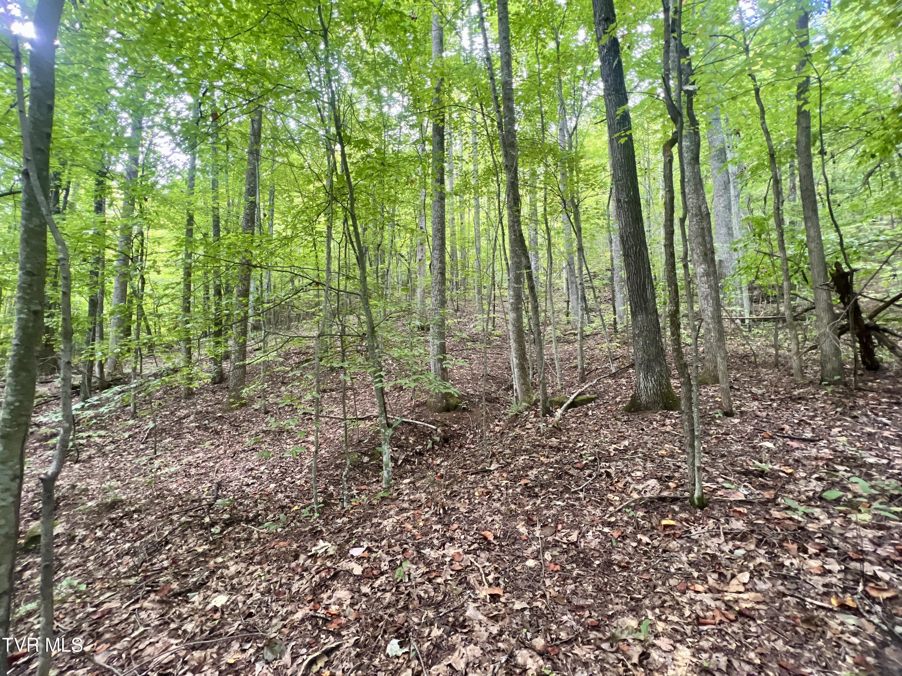 1200 Douglas Drive #1, Sneedville, Tennessee image 38