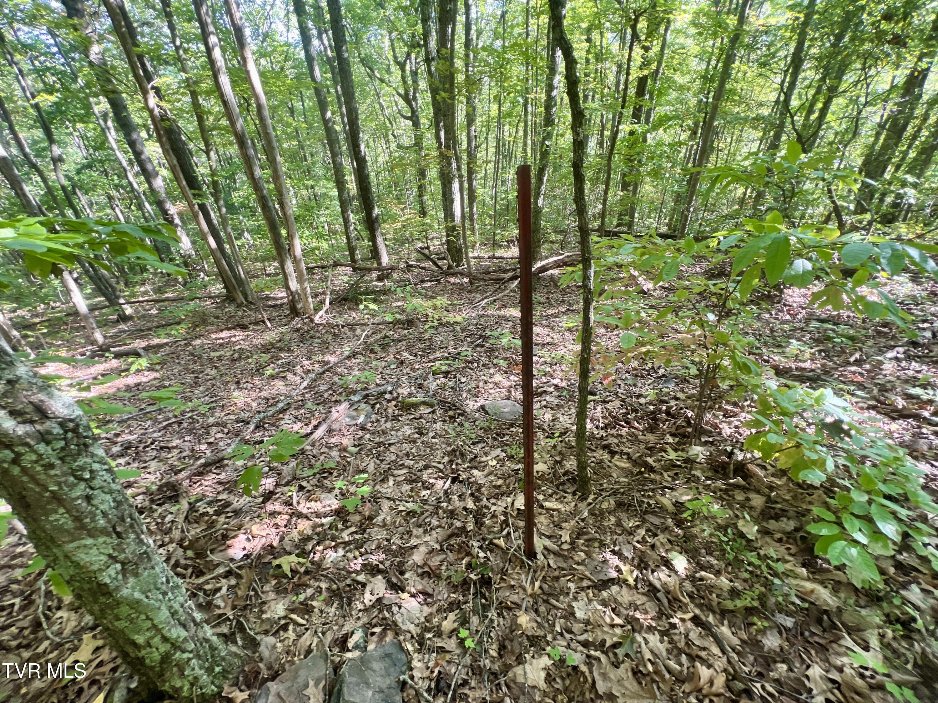 1200 Douglas Drive #1, Sneedville, Tennessee image 44