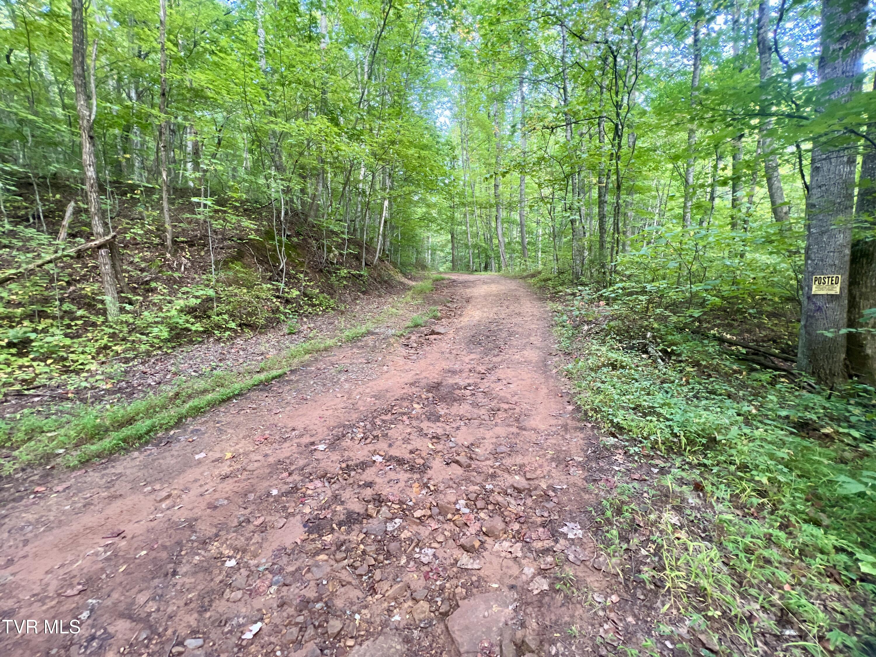 1200 Douglas Drive #1, Sneedville, Tennessee image 6