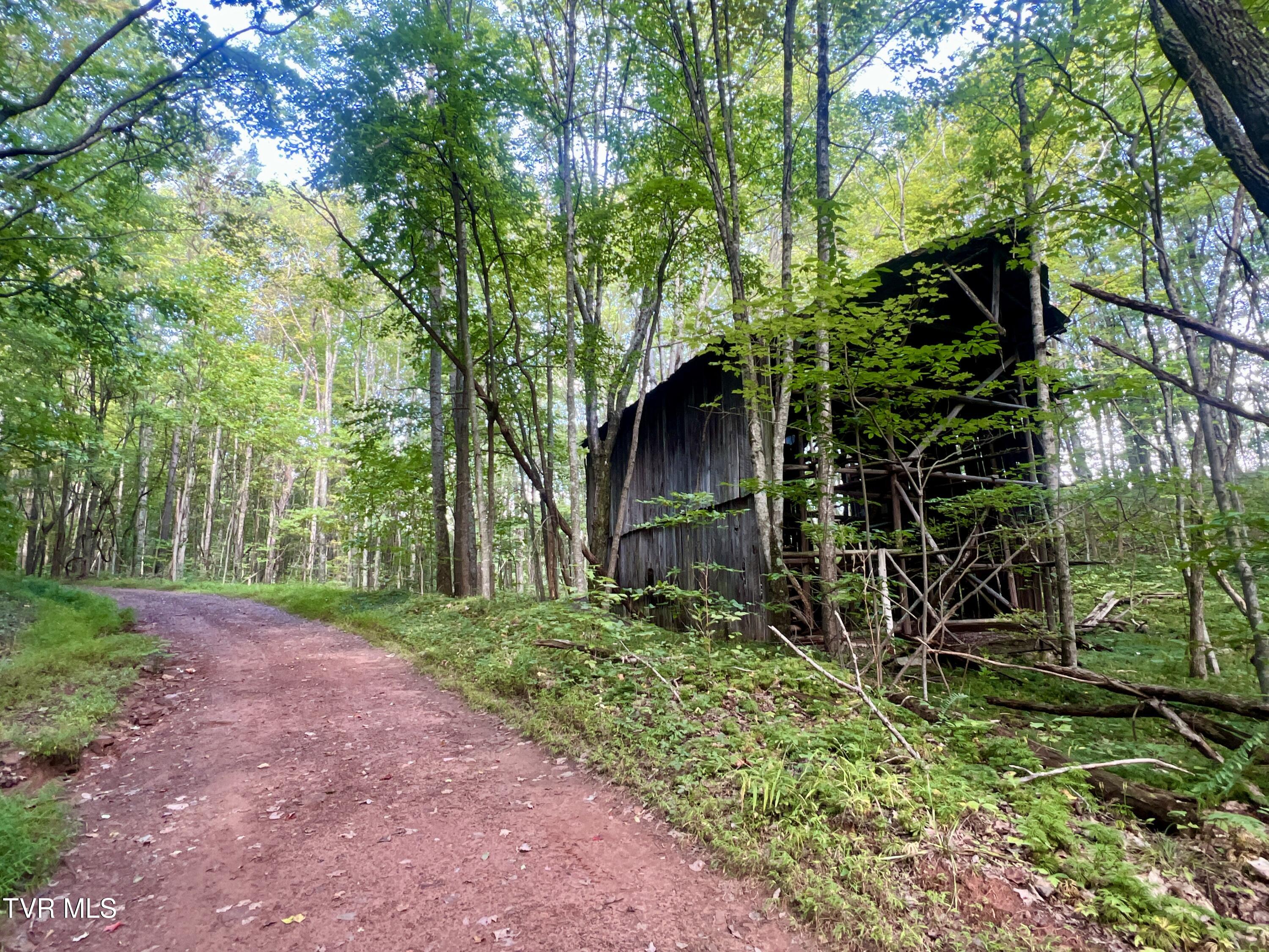 1200 Douglas Drive #1, Sneedville, Tennessee image 10
